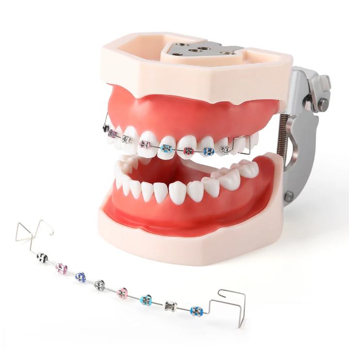 Bracelet dentaire